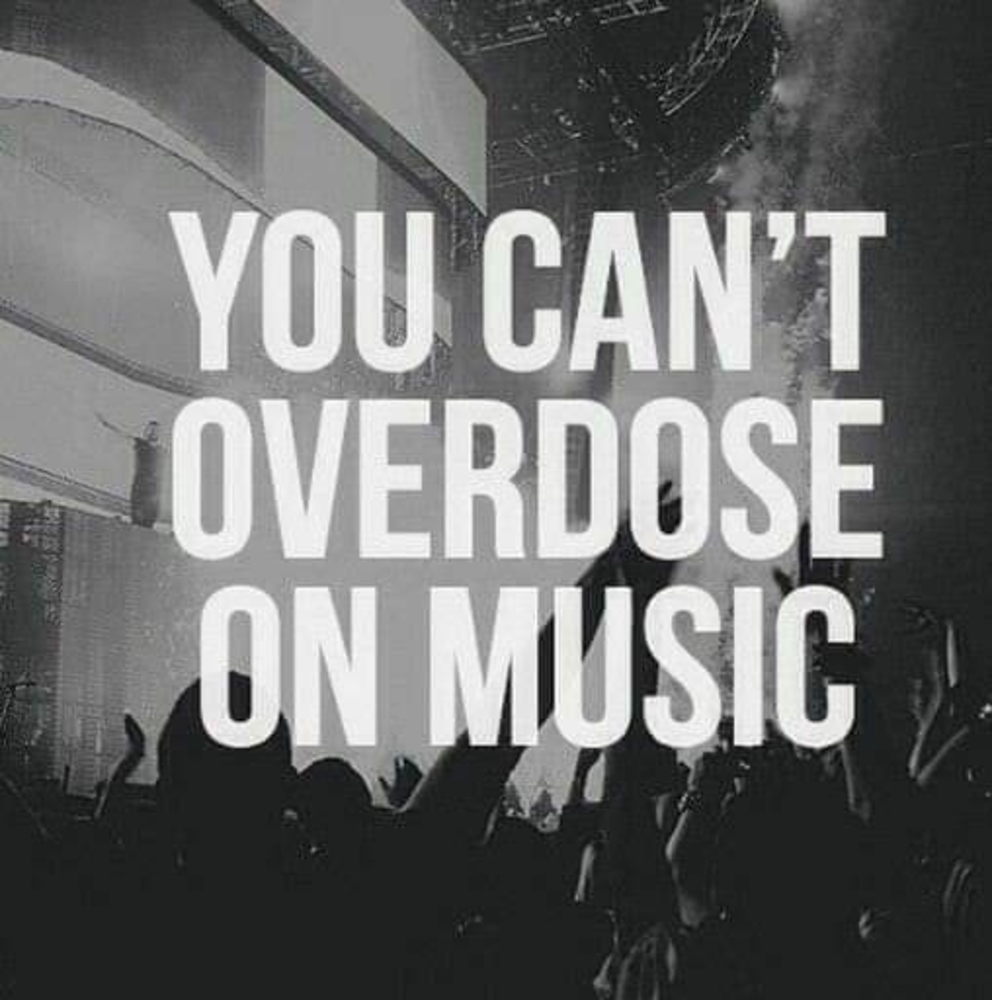 Meet your Posher, Kimber